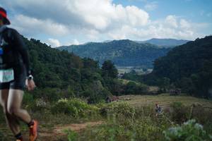 BIB: 
                            <button type="button" onclick="openModal(16013113)" class="btn btn-primary btn-sm float-right btn-popup" data-toggle="modal" data-target=".modal-high-quality">
                        <i class="fas fa-shopping-cart"></i> Add to Cart
                    </button>
                                            <button type="button" onclick="isThisMe(16013113, true)" class="btn btn-success btn-sm float-right btn-popup btn-isme hidden" data-toggle="tooltip" data-placement="bottom" title="นี่คือรูปของคุณใช่ไหม คลิกที่นี่เพื่อเอาเข้าอัลบั้ม">
                        <i class="fas fa-plus"></i> Add to album
                    </button>
                    <button type="button" onclick="isThisMe(16013113, false)" class="btn btn-warning btn-sm float-right btn-popup btn-isnotme hidden">
                        <i class="fas fa-ban"></i> Remove from album
                    </button>